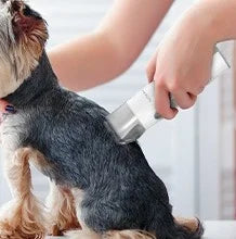 Pet Hair Vacuum Brush Grooming Kit